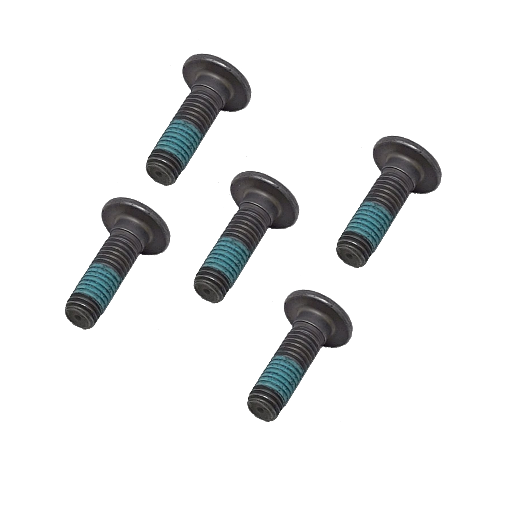 Bremsscheibenschrauben vorne 5er Set für BMW K und R Modelle (2003-2010) – Bild 1